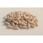 75 grammes de graines a semer - le grenier d'abondance - haricot nain berggold - phaseolus vulgaris