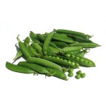 75 grammes a semer - le grenier d'abondance - pois nain douce provence - pisum sativum