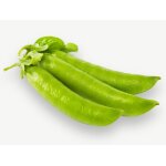 75 grammes a semer - le grenier d'abondance - pois nain lincoln - pisum sativum