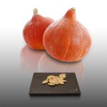 8 graines a semer - le grenier d'abondance - courge potimarron - ou courge chataigne - curcurbita maxima ...