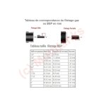 Adaptateur mâle pe compression codital Ø25 - 3 / 4 de codital - raccord pe compression Adaptateur mâle pe compression codital Ø25 - 3 / 4 de codital - raccord pe compression