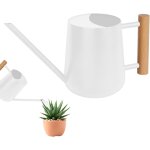 Arrosoir 35oz / 1l à long bec en acier inoxydable - mini arrosoir de jardin pour plantes d'intérieur ... Arrosoir 35oz / 1l à long bec en acier inoxydable - mini arrosoir de jardin pour plantes d'intérieur ...