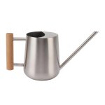 Arrosoir 900 ml en acier inoxydable avec long bec et manche en bois, lgant pot d'arrosage pour fleurs, ...