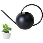 Arrosoir en acier inoxydable, 400 ml arrosoir jardin metal petit arrosoir  long bec arrosoir plante ...
