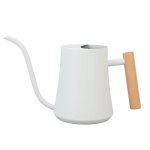 Arrosoir d'intrieur en acier inoxydable avec manche en bois et bec long pour plantes d'intrieur, fleurs, ...