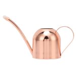 Arrosoir pour maison bonsa jardin fleur extrieur plantes d'intrieur pot  long bec en acier inoxydable ...