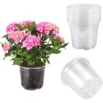 Asfasfq - 10 pices pot pour orchides en plastique, pots  orchides transparents avec trou de drainage, ...