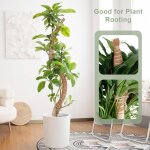 Asfasfq - 120 cm poteau en mousse flexible pour plantes monstera, grands poteaux en mousse pour plantes ...