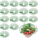 Asfasfq - 15 pices supports pour fraises, support de culture de fraises, support de fraisier avec 3 ...