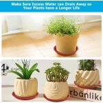 Asfasfq - 16 soucoupes pour pots de fleurs, coupelle pot de fleur, soucoupe pot fleur plastique, soucoupes ...