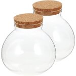 Asfasfq - 2 pièces plantes de terrarium, micro paysage mini pot, fleur bol de terrarium en verre succulente ... Asfasfq - 2 pièces plantes de terrarium, micro paysage mini pot, fleur bol de terrarium en verre succulente ...