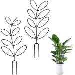 Asfasfq - lot de 2 tuteurs en mtal pour plantes d'intrieur et jardin, aide  l'escalade pratique et ...