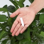 Asfasfq - 200 pices mini etiquette pour semis, 5x1cm etiquette plante, etiquette potager plastique, ...