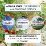 Asfasfq - lot de 25 clips pour serre diamètre 25mm en acier galvanisé, clips de fixation en métal pour ... Asfasfq - lot de 25 clips pour serre diamètre 25mm en acier galvanisé, clips de fixation en métal pour ...