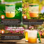 Asfasfq - 2x pièges à guêpes professionnels grande taille - piège à frelon asiatique piège anti guêpe ... Asfasfq - 2x pièges à guêpes professionnels grande taille - piège à frelon asiatique piège anti guêpe ...