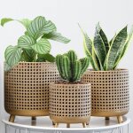 Asfasfq - lot de 3 grands pots de fleurs dcoratifs en mtal avec design creux pour intrieur et extrieur, ...