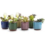 Asfasfq - 6 morceaux pots de plantes en cramique zisha, mini pot de fleurs, cactus fleurs rcipient ...