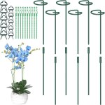 Asfasfq - lot de 6 piquets de support pour plantes, 30 cm, 60 cm, 90 cm, anneaux de support rglables ...