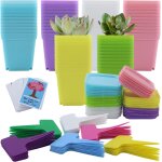 Asfasfq - lot de 66 pots de culture, 7 cm, carrs, avec soucoupe, petits pots de fleurs, en plastique, ...