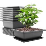 Asfasfq - lot de 8 grands bols  bonsa - 22, 5 x 16, 5 x 7, 5 cm - avec soucoupe - en plastique - pour ...