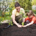 Asfasfq - lot de 8 tuteurs plantes support pour plantes, 60 cm piquet de plantes de jardin en métal à ... Asfasfq - lot de 8 tuteurs plantes support pour plantes, 60 cm piquet de plantes de jardin en métal à ...