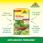 Asfasfq - anti - limaces ferramol ¿ contre les limaces et les escargots sur les légumes, fraises et ... Asfasfq - anti - limaces ferramol ¿ contre les limaces et les escargots sur les légumes, fraises et ...
