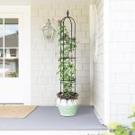 Asfasfq - atr art to real obélisques de jardin en métal pour plantes grimpantes, sans vis, support de ... Asfasfq - atr art to real obélisques de jardin en métal pour plantes grimpantes, sans vis, support de ...