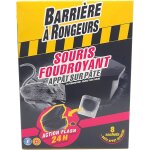 Asfasfq - barriere a rongeurs rodenticide contre les souris, foudroyant, appt sur pte, avec bote appt ...