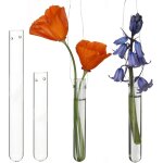 Asfasfq - comforder vase décoratif en forme de tube à essai en verre pour fleurs, boutures, station de ... Asfasfq - comforder vase décoratif en forme de tube à essai en verre pour fleurs, boutures, station de ...