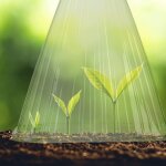 Asfasfq - cnes de forage en lot de 24, accessoire plantes, protection contre escargot et oiseaux, pvc, ...