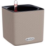 Asfasfq - cube color 16 brun sable 13488