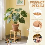 Asfasfq - fibre de coco pour plante, 8 pcs disque de paillage, 30 cm paillage fibre de coco pour protection ... Asfasfq - fibre de coco pour plante, 8 pcs disque de paillage, 30 cm paillage fibre de coco pour protection ...