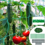 Asfasfq - filet pour concombre 5 m x 2 m, filet jardin treillis, filet plante grimpante exterieur, pour ...