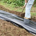 Asfasfq - film polyéthylène noir pour serre - 6 mil - extra épais - indéchirable - en polyéthylène - ... Asfasfq - film polyéthylène noir pour serre - 6 mil - extra épais - indéchirable - en polyéthylène - ...