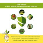 Asfasfq - huile de neem pure pour plantes (250ml) - protection naturelle du jardin contre insectes et ... Asfasfq - huile de neem pure pour plantes (250ml) - protection naturelle du jardin contre insectes et ...