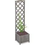Asfasfq - jardinière avec treillis espalier tuteur plantes grimpantes bac a fleurs bois vigne lierre ... Asfasfq - jardinière avec treillis espalier tuteur plantes grimpantes bac a fleurs bois vigne lierre ...