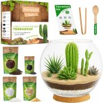 Asfasfq - kit terrarium plantes succulentes et cactus diy - kit terrarium en verre cosystme dsert ...