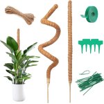Asfasfq - monstera lot de 2 tuteurs en coco monstera - 160 cm - bâton de mousse flexible avec accessoires ... Asfasfq - monstera lot de 2 tuteurs en coco monstera - 160 cm - bâton de mousse flexible avec accessoires ...