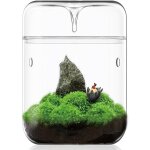 Asfasfq - petit terrarium en verre 12 x 17, 5 cm planificateur d'air pour plantes succulentes mousse ... Asfasfq - petit terrarium en verre 12 x 17, 5 cm planificateur d'air pour plantes succulentes mousse ...