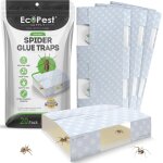 Asfasfq - pige  araignes piges  colle d'intrieur collants pour araignes et autres insectes rampants ...