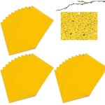 Asfasfq - pièges collants double face, 30 pièces attrape - mouches et insectes, efficaces à utiliser, ... Asfasfq - pièges collants double face, 30 pièces attrape - mouches et insectes, efficaces à utiliser, ...