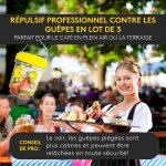 Asfasfq - piège à guêpes et frelons x3 ¿ piège à guêpes extérieur réutilisable ¿ anti guêpes et frelons ... Asfasfq - piège à guêpes et frelons x3 ¿ piège à guêpes extérieur réutilisable ¿ anti guêpes et frelons ...