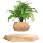 Asfasfq - plante en lvitation plante flottant air bonsa jardinire de pot de fleur de suspension pour ...