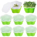 Asfasfq - plateau semis, lot de 6 bacs  semis avec couvercle grande capacit pour germination de graines, ...