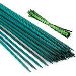 Asfasfq - pllieay 30pcs 30cm btons de bambou vert avec 60 pices de liens torsads mtalliques verts, ...