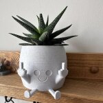 Asfasfq - pot � plantes souriant avec doigt du milieu, p�ts � fleurs pour plant�s succulentes, home d�cor ...