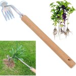 Asfasfq - sadodo outil de dsherbage manuel en acier inoxydable - outil de dsherbage - rteau de jardin ...