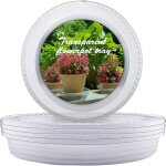 Asfasfq - soucoupe pot fleur 25cm transparentes en plastique pots de fleurs lot de 10 soucoupes - pour ...