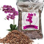 Asfasfq - substrat pour orchidées - 1 l - ecorce d'orchidée et perlite organique pour plantes - drainage ... Asfasfq - substrat pour orchidées - 1 l - ecorce d'orchidée et perlite organique pour plantes - drainage ...