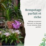 Asfasfq - substrat pour orchides, parfaitement adapt avec sphaigne et corces de pin et clats de coco ...